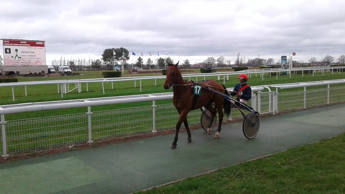 Hippodrome Angers-Trot-3